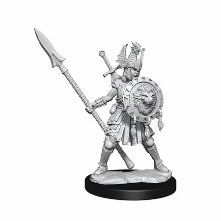 TOYS4.0 Female Dungeons & Dragons Frameworks Wave 1 Human Fighter Miniatures TO2737446